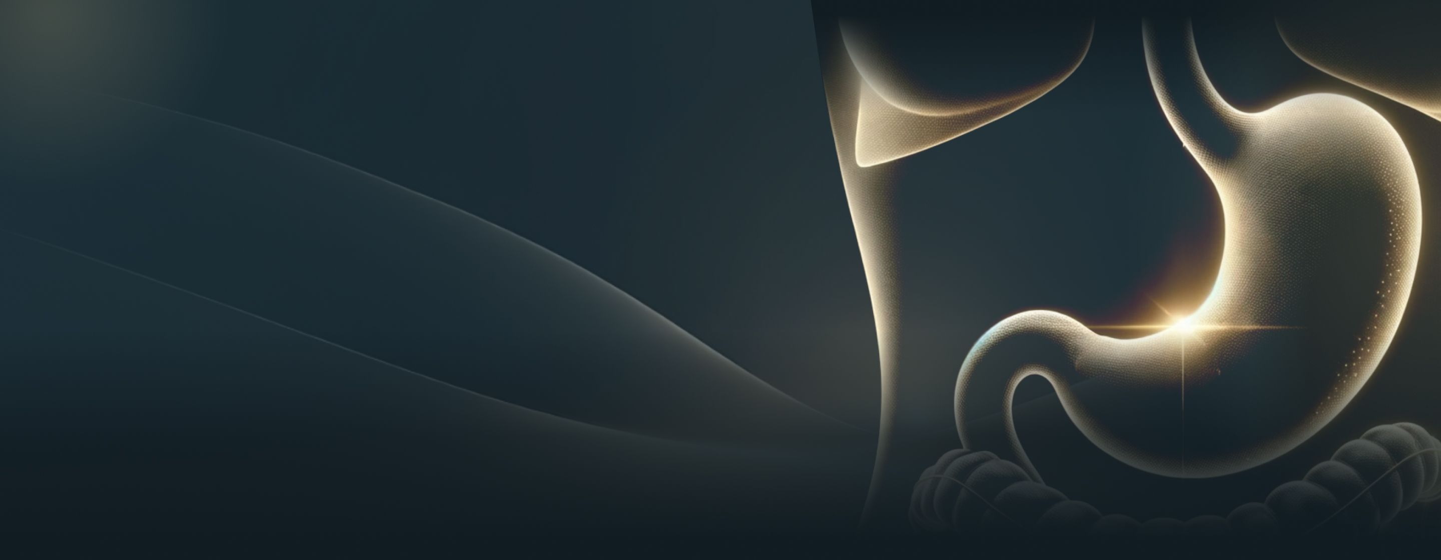 An illustration of a stomach